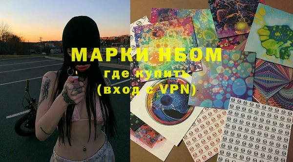ПСИЛОЦИБИНОВЫЕ ГРИБЫ Алзамай